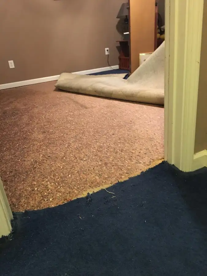 Carpet pad removal revealing water damage during Drying & Dehumidification in Port Orange