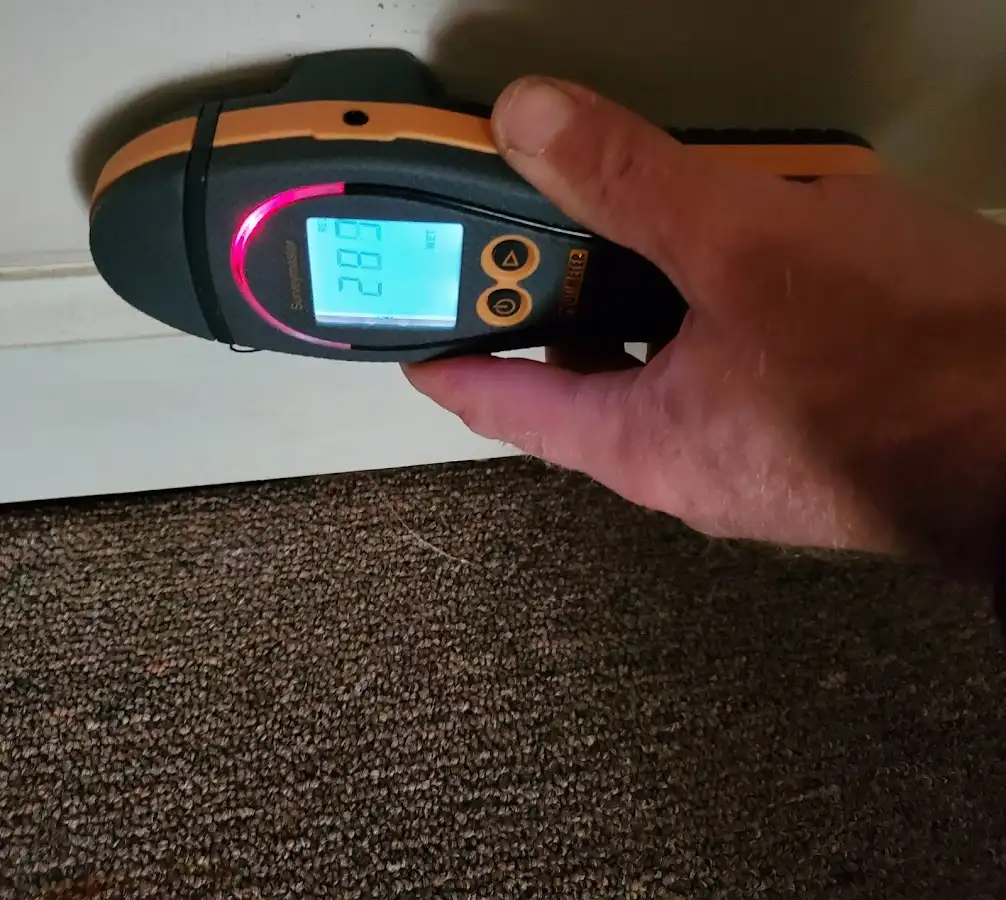 Moisture detection at baseboard during Burst Pipe Cleanup in Port Orange