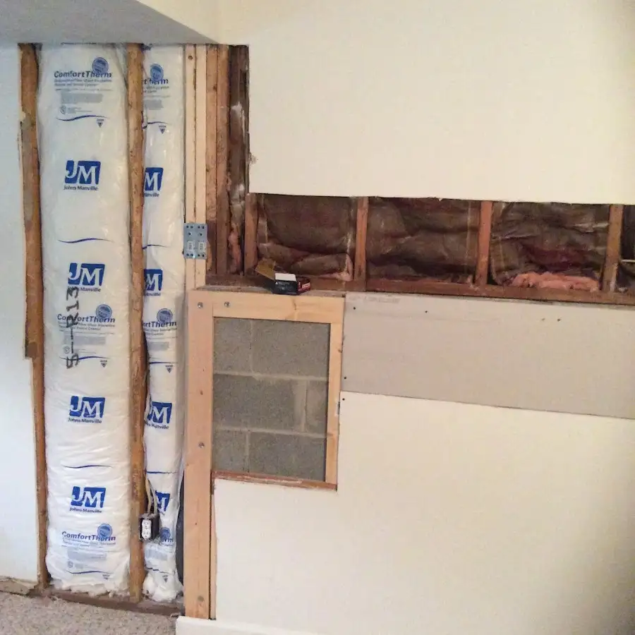 Wall insulation replacement during Basement Flood Cleanup in Port Orange